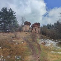 Каменные грибы :: Мариша 