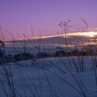 Морозным утром :: Sergei Vikulov