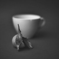 Мандарин. :: Svyatoslav [Artisan] Ph.