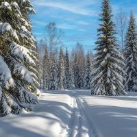 Царство дедушки Мороза ... :: Ravile 