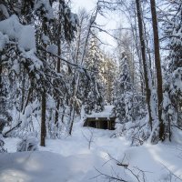Мороз и снег закутали ручей :: Сергей Цветков