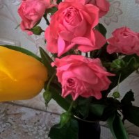 Розы и тюльпан :: Елена Семигина