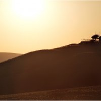 На страже. :: Вячеслав Владимирович