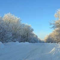 Дорога по зимнему лесу :: Сергей М 