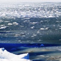 Февраль, Балтийское море, Пионерский, Калининградская область :: Рита Симонова Февраль, Балтийское море, Пионерский, Калининградская область :: Рита Симонова