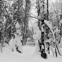 заходите в гости :: Владимир 