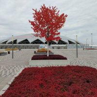 Самара. Стадион. :: Надежда 