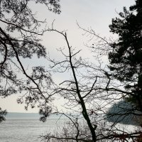 Осень фото :: Genych Bartkus