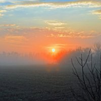 Туманное утро. :: Владимир 