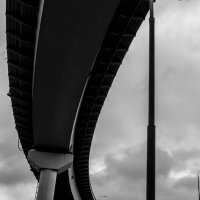 * :: Сергей Полянский