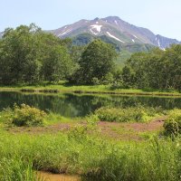 Вачкажец :: Владимир Соколов (svladmir)