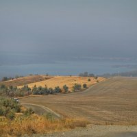 Перед дождём... :: Надежда Куркина 