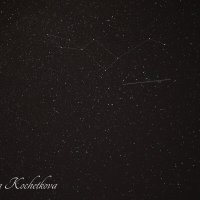 Природа Крыма :: Amazing Cosmea