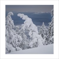 * :: Александр Иванов