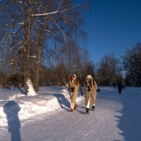 Прогулки в Зимнем Парке :: юрий поляков