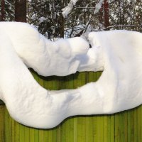 Снежная улыбка :: Андрей Снегерёв