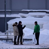 Мастер класс от главного судьи. :: Наталья Вязигина