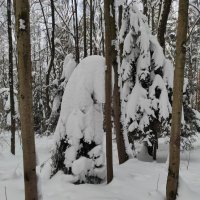 Задумчивость :: Игорь Ч.