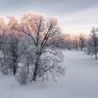 Про Питер :: Владимир Колесников