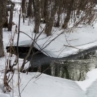 *** :: Александр Русинов