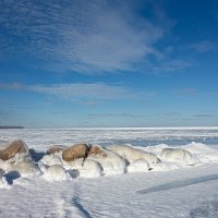 *** :: Геннадий Порохов