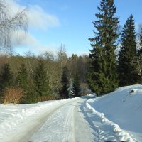 зимние пейзажи :: ИННА ПОРОХОВА