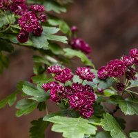 Весна не за горами 3 :: Николай Весна не за горами 3 :: Николай