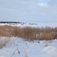 Берег Ладожского озера :: Наталья Герасимова