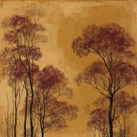 Тонкие деревья :: Георгий Пичугин