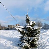 В парке Тондилоо :: Veera V