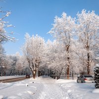 Мороз и солнце - день чудесный! :: Александр Силинский