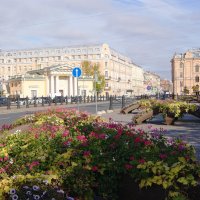 Осень. СЕННАЯ ПЛОЩАДЬ. :: Виктор Никитенко