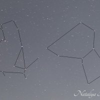 Природа Крыма :: Amazing Cosmea