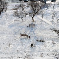 За окном :: Анатолий Чикчирный