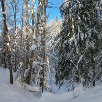 вылезают из оврага :: Владимир 