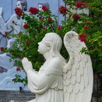 *** :: Николай Чекалин