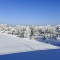 «Серебряная вуаль зимы» :: Арина Невская