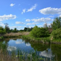 МЕСТНАЯ РЕКА. :: Виктор 