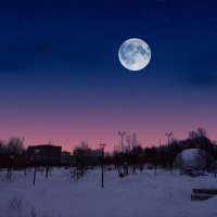 Полнолуние. :: Наталья Вязигина