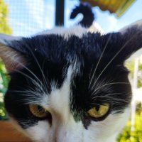 Сколько-сколько?? :: Лидия Меркулова