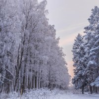 «Морозное кружево». :: Екатерина Счасная