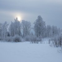 *** :: Андрей Дурапов