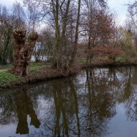 *** :: Николай Гирш