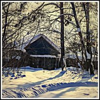 вечерний свет солнечного дня :: Любовь 