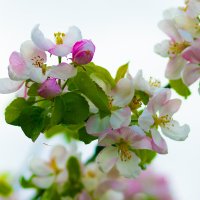 Весна не за горами 9 :: Николай 