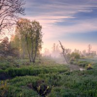 Там соловей весну встречает ... © :: Roman Lunin