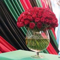 они на радость нам даны :: Олег Лукьянов они на радость нам даны :: Олег Лукьянов