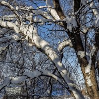 *** :: Виктор Иванович Чернюк