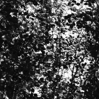 Фотография :: Денис Безногов