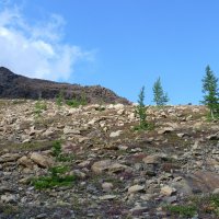 ПОЛЯРНЫЙ УРАЛ. ЯМАЛ :: Tata Wolf